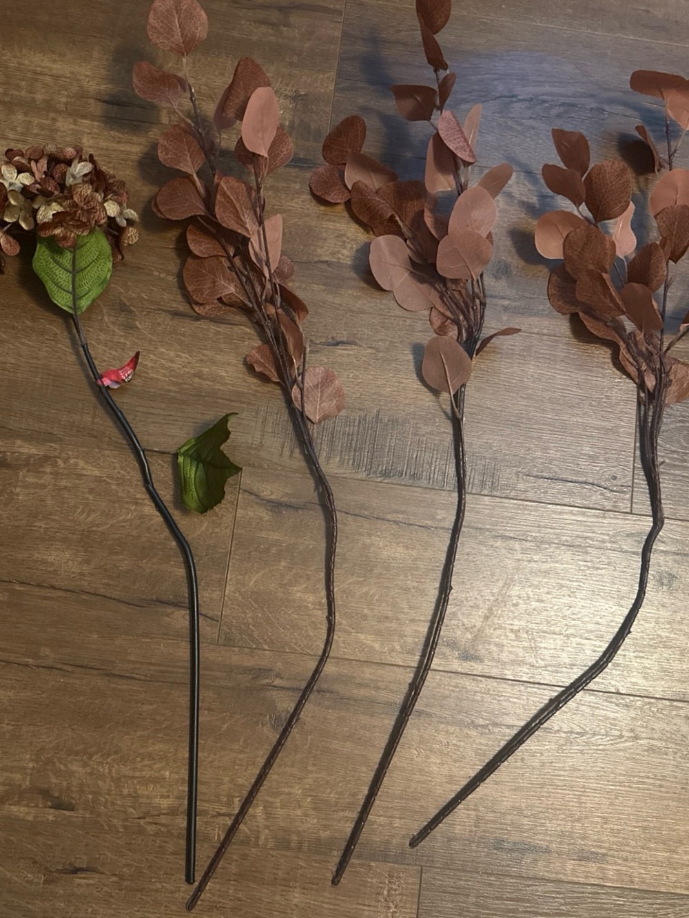 Fall flowers and plants